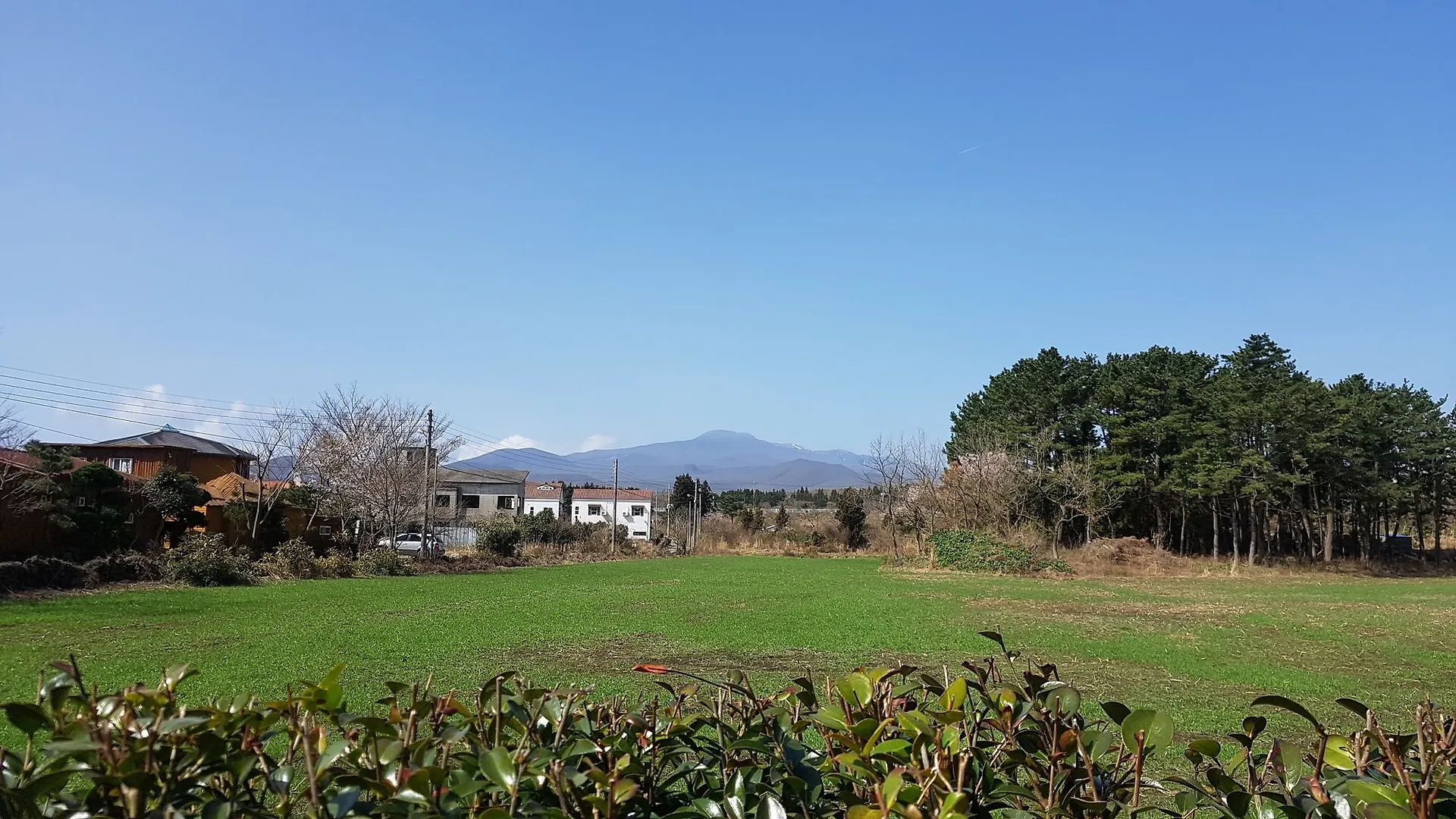 Pension Jeju Therapy Hotel